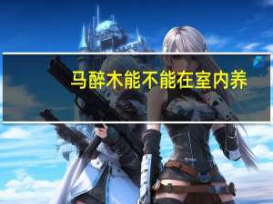 马醉木能不能在室内养