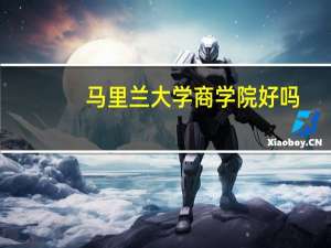 马里兰大学商学院好吗