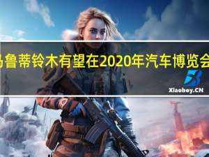 马鲁蒂铃木有望在2020年汽车博览会上展出