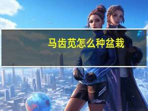 马齿苋怎么种盆栽