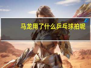 马龙用了什么乒乓球拍呢