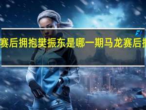 马龙赛后拥抱樊振东是哪一期 马龙赛后拥抱樊振东