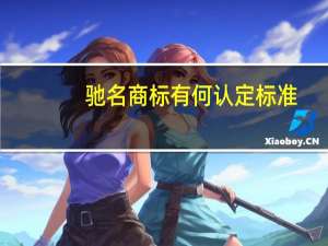 驰名商标有何认定标准