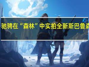 驰骋在“森林”中 实拍全新斯巴鲁森林人
