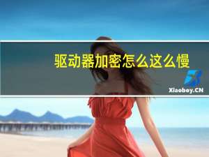 驱动器加密怎么这么慢（驱动器加密）