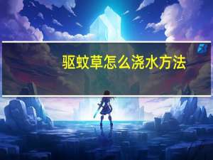 驱蚊草怎么浇水方法