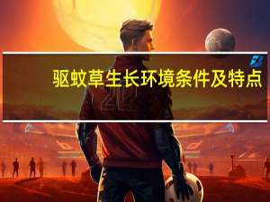 驱蚊草生长环境条件及特点