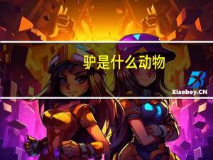 驴是什么动物