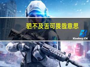 驷不及舌可畏哉意思（驷不及舌）