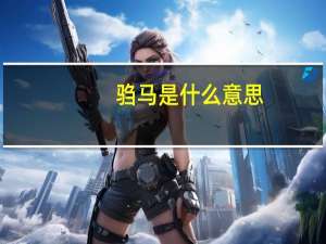 驺马是什么意思