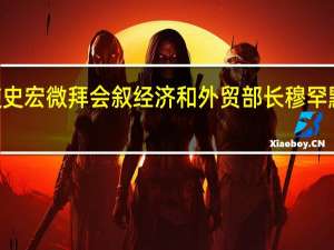 驻叙利亚大使史宏微拜会叙经济和外贸部长穆罕默德·萨米尔·哈利勒
