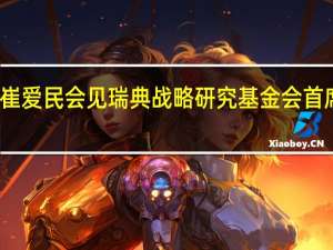 驻瑞典大使崔爱民会见瑞典战略研究基金会首席执行官胡尔特曼