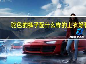 驼色的裤子配什么样的上衣好看