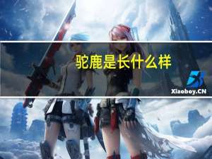 驼鹿是长什么样（驼鹿-鹿科驼鹿属下的动物统称简介）