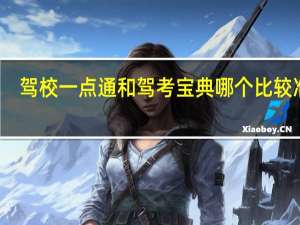 驾校一点通和驾考宝典哪个比较准确