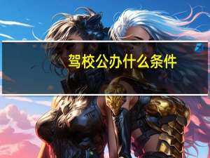 驾校公办什么条件