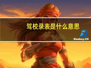 驾校录表是什么意思