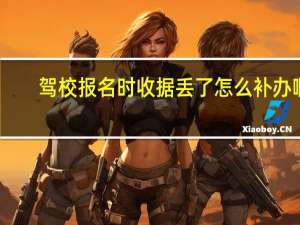 驾校报名时收据丢了怎么补办啊