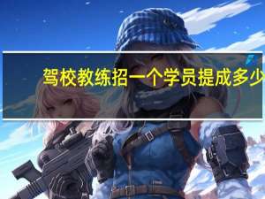 驾校教练招一个学员提成多少