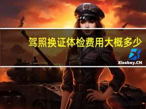 驾照换证体检费用大概多少