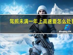 驾照未满一年上高速要怎么处罚