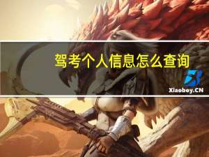 驾考个人信息怎么查询
