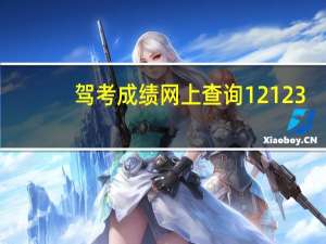 驾考成绩网上查询12123（驾考成绩网上查询12123）