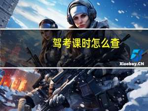 驾考课时怎么查