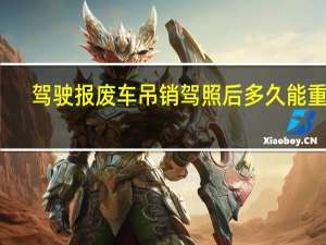 驾驶报废车吊销驾照后多久能重考