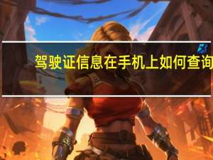 驾驶证信息在手机上如何查询