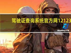 驾驶证查询系统官方网12123