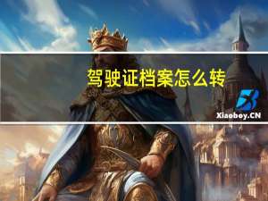 驾驶证档案怎么转