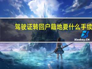 驾驶证转回户籍地要什么手续