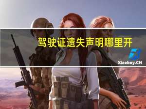 驾驶证遗失声明哪里开