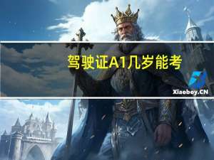 驾驶证A1几岁能考