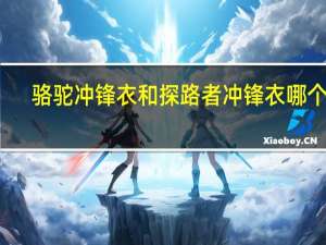 骆驼冲锋衣和探路者冲锋衣哪个好