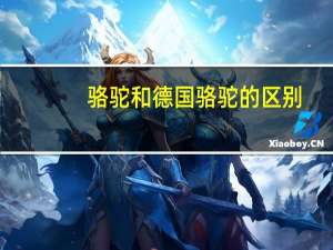 骆驼和德国骆驼的区别