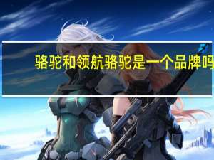 骆驼和领航骆驼是一个品牌吗