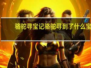 骆驼寻宝记骆驼寻到了什么宝（骆驼寻宝记）