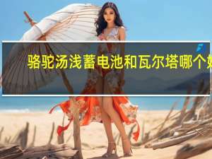 骆驼汤浅蓄电池和瓦尔塔哪个好