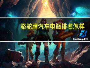 骆驼牌汽车电瓶排名怎样（骆驼牌汽车电瓶寿命）