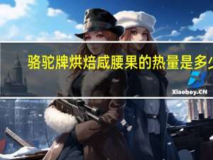 骆驼 牌烘焙咸腰果的热量是多少