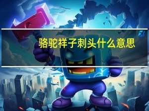 骆驼祥子刺头什么意思