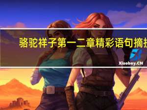 骆驼祥子第一二章精彩语句摘抄