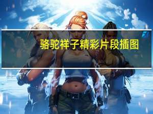 骆驼祥子精彩片段插图（骆驼祥子精彩片段）