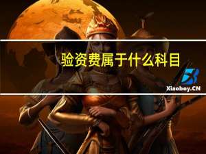 验资费属于什么科目