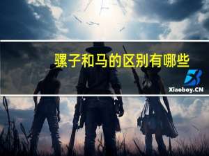 骡子和马的区别有哪些