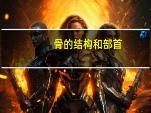 骨的结构和部首（骨的结构）