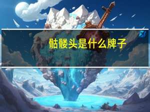 骷髅头是什么牌子