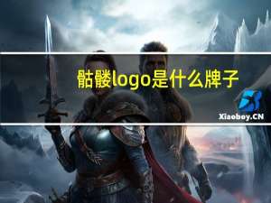 骷髅logo是什么牌子